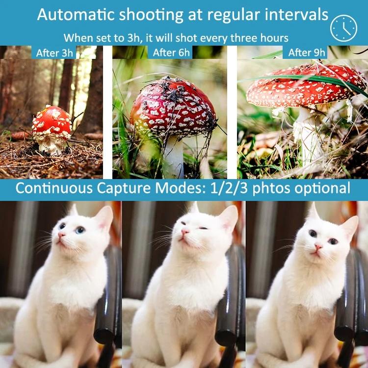 NNEIDS Waterproof Infrared Night Vision Camera For Outdoor Monitoring